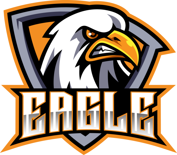 mascot logo design custom